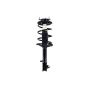 FCS Struts 3331623R Suspension Strut and Coil Spring Assembly