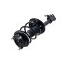 FCS Struts 3331623R Suspension Strut and Coil Spring Assembly