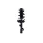 FCS Struts 3331660L Suspension Strut and Coil Spring Assembly
