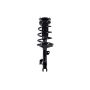 FCS Struts 3331660L Suspension Strut and Coil Spring Assembly