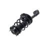 FCS Struts 3331660L Suspension Strut and Coil Spring Assembly