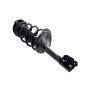 FCS Struts 3331660L Suspension Strut and Coil Spring Assembly