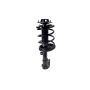 FCS Struts 3331663L Suspension Strut and Coil Spring Assembly