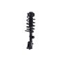 FCS Struts 3331821L Suspension Strut and Coil Spring Assembly