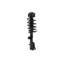 FCS Struts 3331821R Suspension Strut and Coil Spring Assembly