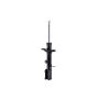 FCS Struts 333294R Suspension Strut