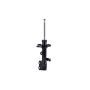 FCS Struts 333296L Suspension Strut