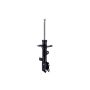 FCS Struts 333296L Suspension Strut