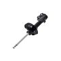 FCS Struts 333296L Suspension Strut