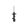 FCS Struts 333296R Suspension Strut