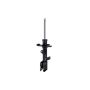 FCS Struts 333296R Suspension Strut
