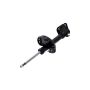 FCS Struts 333307R Suspension Strut