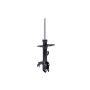 FCS Struts 333313L Suspension Strut