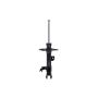 FCS Struts 333313L Suspension Strut