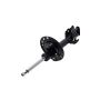 FCS Struts 333319L Suspension Strut