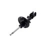 FCS Struts 333319R Suspension Strut