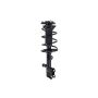 FCS Struts 3333296L Suspension Strut and Coil Spring Assembly
