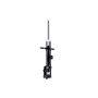 FCS Struts 333334L Suspension Strut