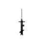 FCS Struts 333334L Suspension Strut