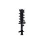 FCS Struts 3333365L Suspension Strut and Coil Spring Assembly