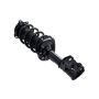FCS Struts 3333365L Suspension Strut and Coil Spring Assembly