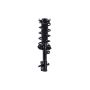 FCS Struts 3333365R Suspension Strut and Coil Spring Assembly