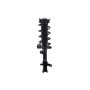 FCS Struts 3333365R Suspension Strut and Coil Spring Assembly