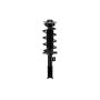 FCS Struts 3333392L Suspension Strut and Coil Spring Assembly