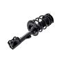 FCS Struts 3333393L Suspension Strut and Coil Spring Assembly