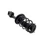 FCS Struts 3333393R Suspension Strut and Coil Spring Assembly