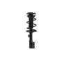 FCS Struts 3333412L Suspension Strut and Coil Spring Assembly