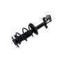 FCS Struts 3333412L Suspension Strut and Coil Spring Assembly