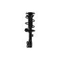 FCS Struts 3333412R Suspension Strut and Coil Spring Assembly