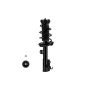 FCS Struts 3333414L Suspension Strut and Coil Spring Assembly