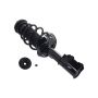 FCS Struts 3333415L Suspension Strut and Coil Spring Assembly