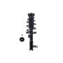 FCS Struts 3333415R Suspension Strut and Coil Spring Assembly