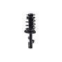 FCS Struts 3333444L Suspension Strut and Coil Spring Assembly