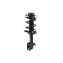 FCS Struts 3333445L Suspension Strut and Coil Spring Assembly