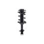 FCS Struts 3333445L Suspension Strut and Coil Spring Assembly