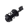 FCS Struts 3333445L Suspension Strut and Coil Spring Assembly