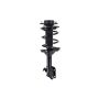 FCS Struts 3333445R Suspension Strut and Coil Spring Assembly