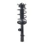 FCS Struts 3333447L Suspension Strut and Coil Spring Assembly