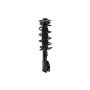 FCS Struts 3333467L Suspension Strut and Coil Spring Assembly