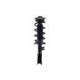 FCS Struts 3333467L Suspension Strut and Coil Spring Assembly