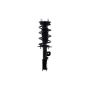 FCS Struts 3333489L Suspension Strut and Coil Spring Assembly