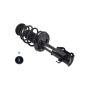 FCS Struts 3333514L Suspension Strut and Coil Spring Assembly