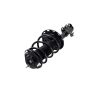 FCS Struts 3333524R Suspension Strut and Coil Spring Assembly