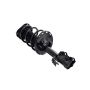 FCS Struts 3333524R Suspension Strut and Coil Spring Assembly