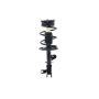 FCS Struts 3333564L Suspension Strut and Coil Spring Assembly
