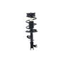 FCS Struts 3333564R Suspension Strut and Coil Spring Assembly
